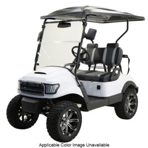 Massimo MGC2 48v Electric Vehicle Golf Cart Electric- 2 Seat