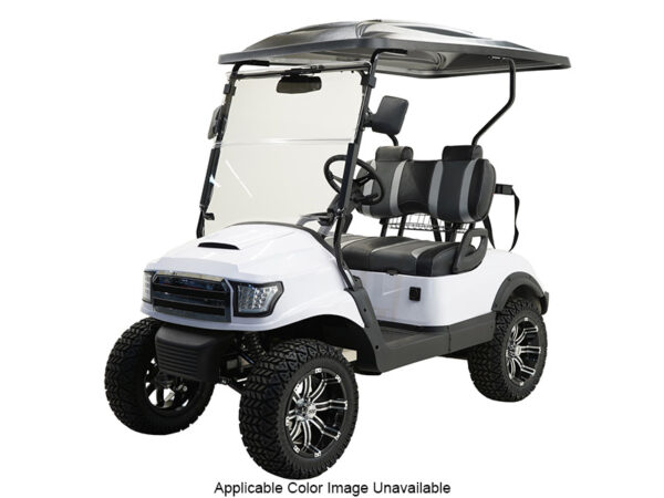 Massimo MGC2 48v Electric Vehicle Golf Cart Electric- 2 Seat