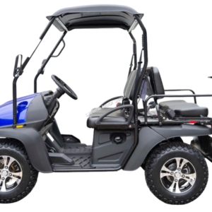 HJS Bighorn 200 GVX DF Hi Lo Utility Vehicle SXS UTV Golf Cart