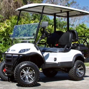 ICON i20 Electric Street Legal Golf Cart 2 Seat Neighborhood Vehicle