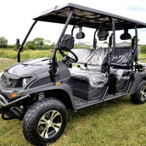 Bighorn 400EFI Gas Golf Cart 6 Seat Injected UTV 2WD/4WD