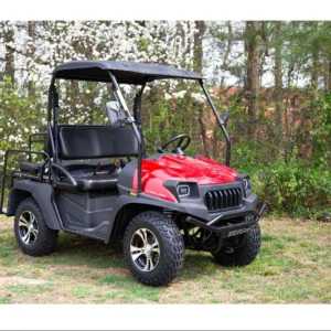 HJS Bighorn 200 EFI GVXL-T DF Hi Lo Utility Vehicle SXS UTV Golf Cart