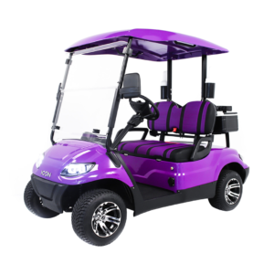 ICON i20L Lifted Electric Street Legal Golf Cart 2 Seat Neighborhood Vehicle