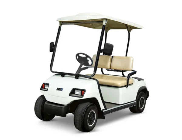 ECARLT A2D.SP 2SeatGolfCart